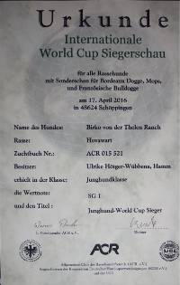 04 Sch&ouml;ppingen Urkunde World Cup DSC05728