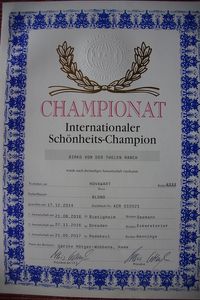 Internationales Sch&ouml;nheits Championat Birko