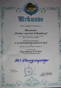 04 Radebeul 17 Urkunde Elberegiocup DSC05756