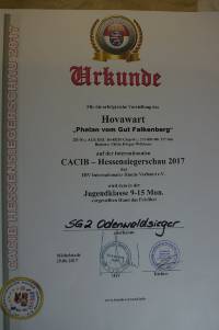 06 Urkunde Hessensiegerschau DSC06099
