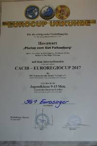 08 Urkunde Euroregiocup Riedenburg DSC06105